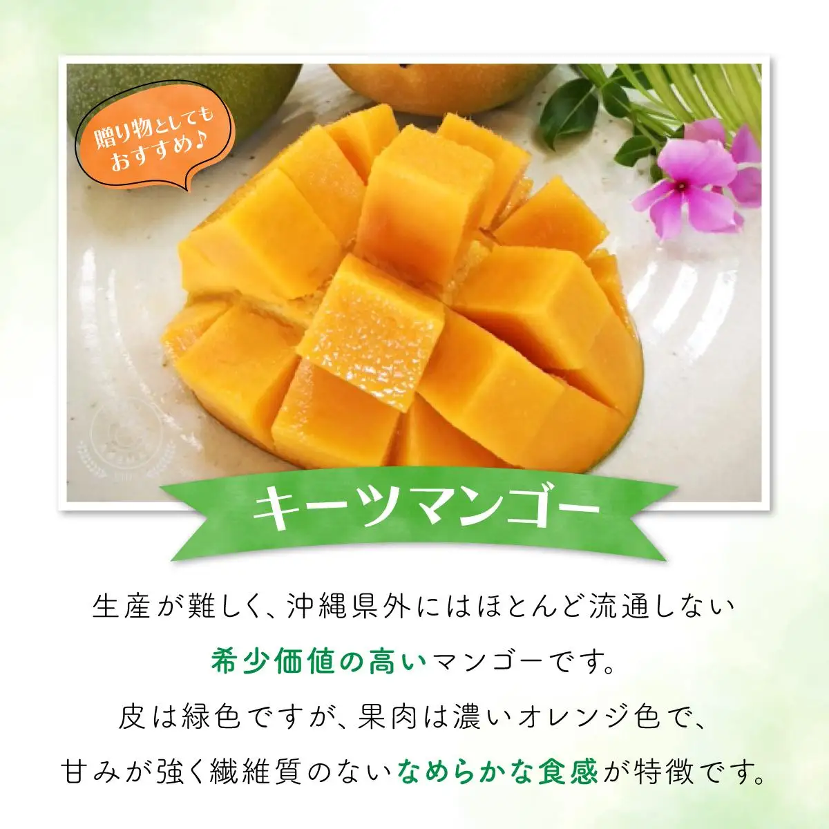 マンゴー 約1.8kg 2～4玉 希少品種 