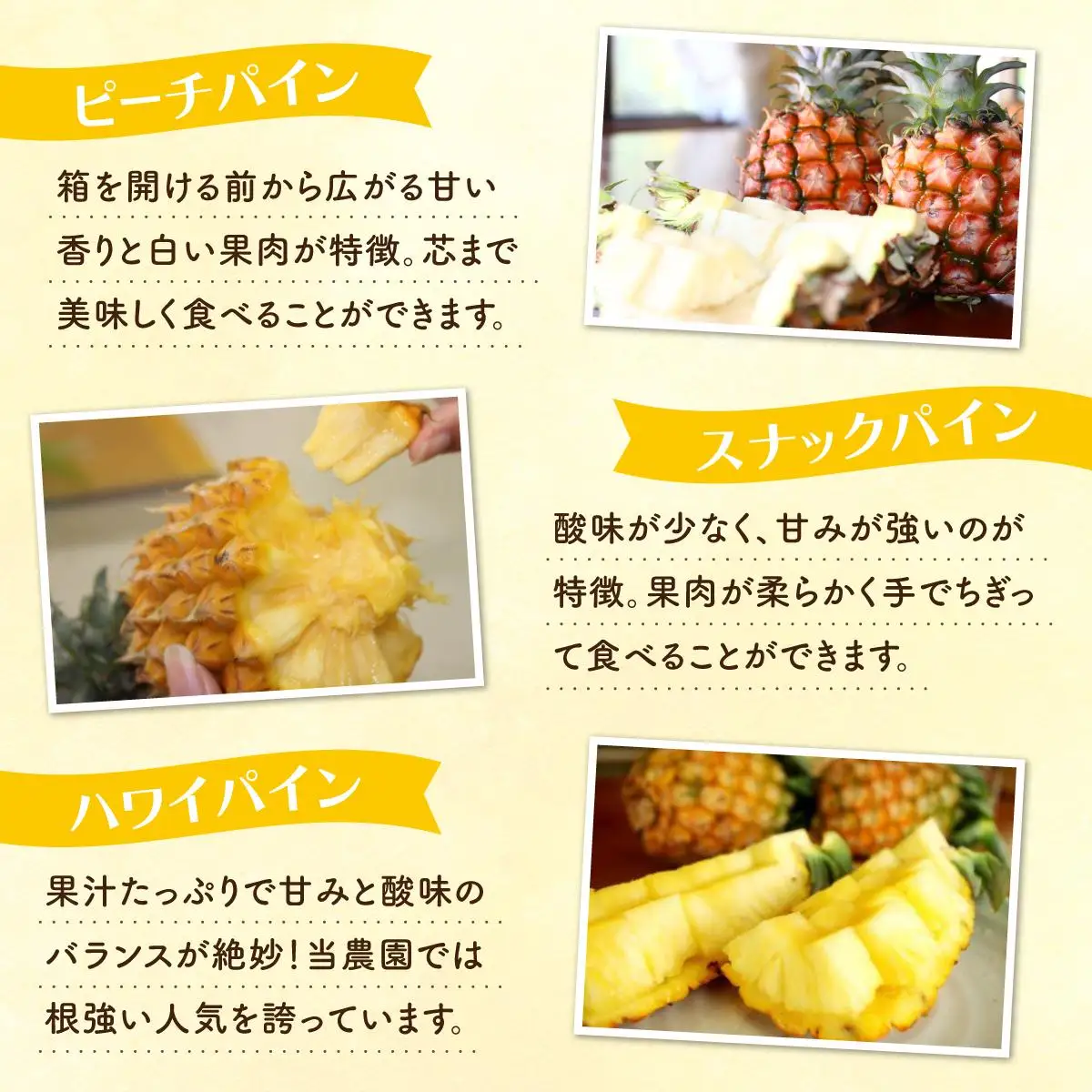 定期便 5回 パイナップル マンゴー 