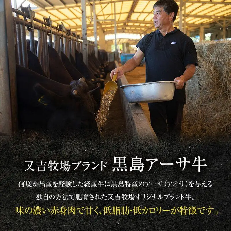 焼肉 セット 満喫セット 