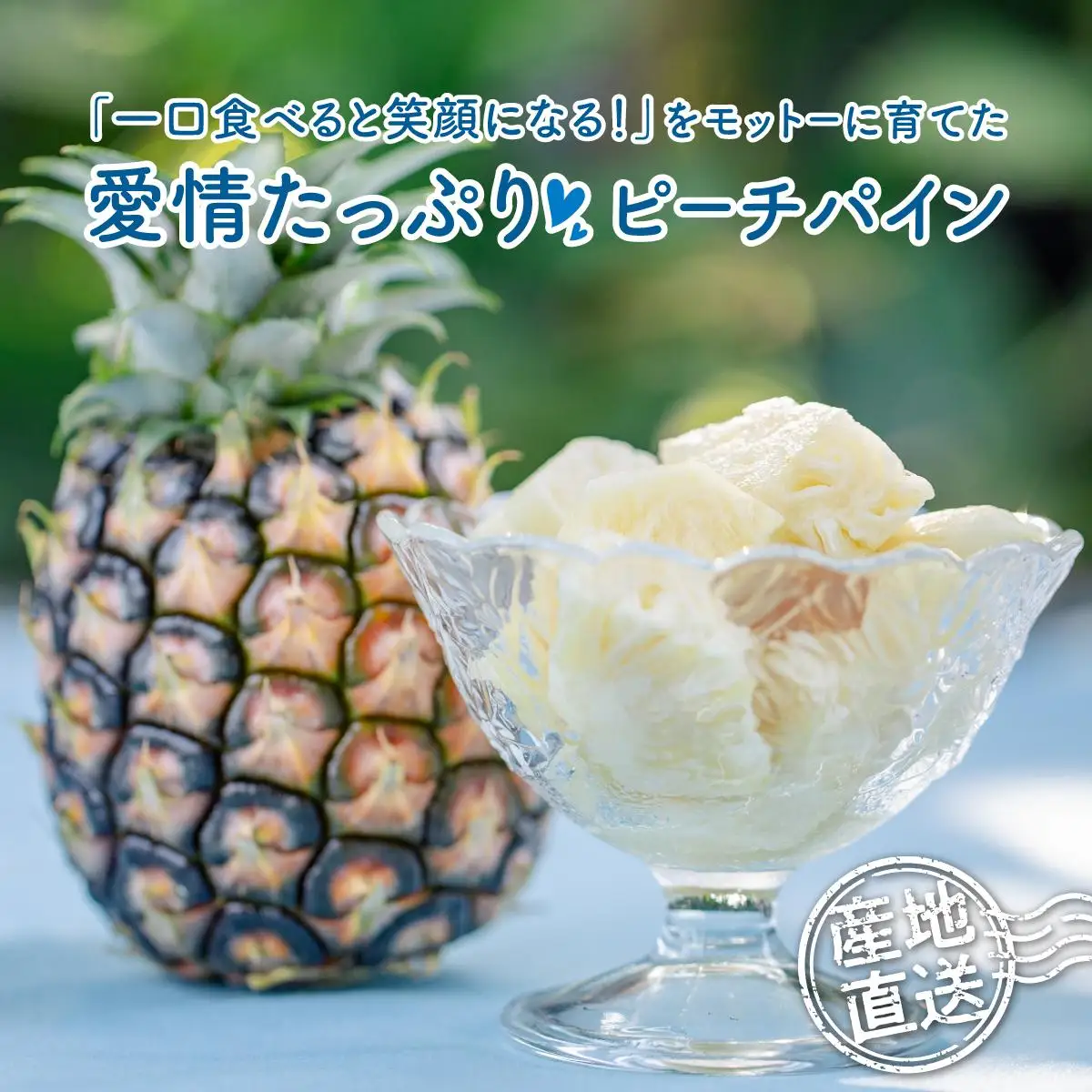 【2027年先行予約】定期便 2ヶ月 ピーチパイン 約3.5kg