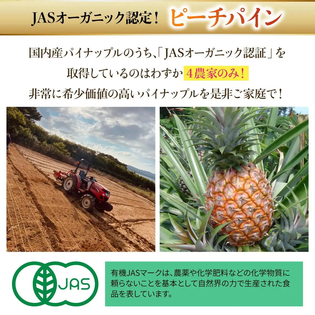  【2027年先行予約】プレミアムピーチパイン 約3kg