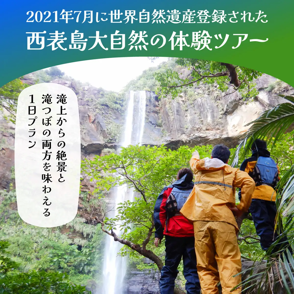 西表島マングローブカヌー＋ピナイサーラの滝 1日プラン 1名様