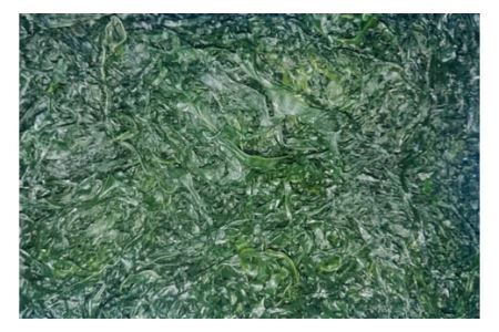 【外抜一等品】 三陸産 特撰若布 400g 