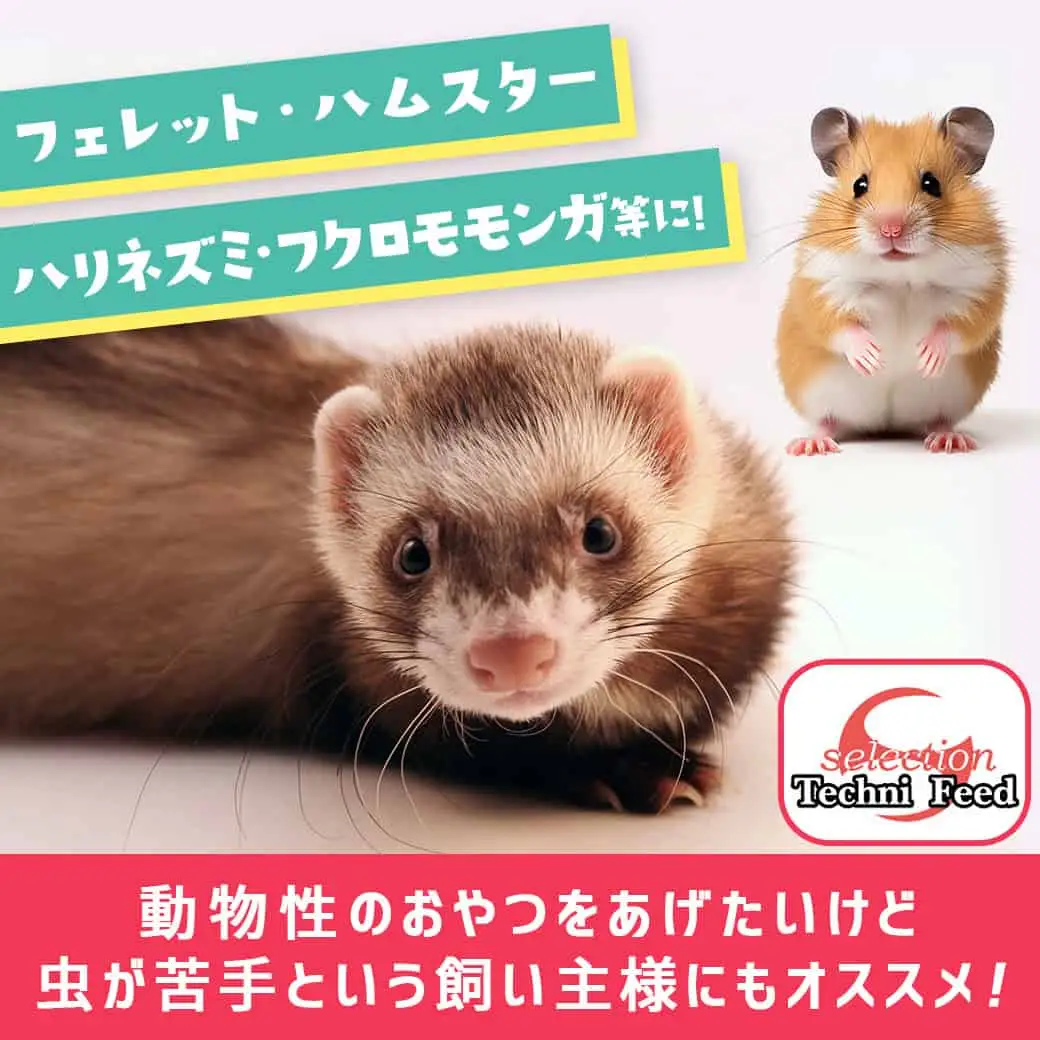 小動物用チキンペースト☆おやつに～エネルギー補給～※ポスト投函〔LF-3310〕_(都城市) 栄養補助食 おやつ 国産鶏肉 チキンペースト フェレット ハムスター ハリネズミ フクロモモンガ 肉食・雑食小動物 小分け包装