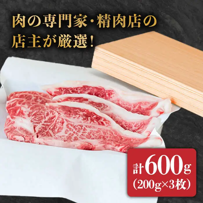 【3回定期便】南島原 自慢の逸品 プレミアム 和牛 そうめん チーズケーキ 南島原 堪能セット / 南島原市 / ながいけ [SCH061]