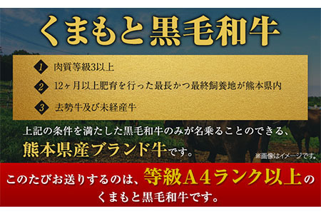 くまもと黒毛和牛 サーロイン リブロース 内モモ 希少 500g