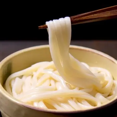 和泉手延べ麺　受賞乾うどん10人前[味噌煮込みたれ付き]　たつみ麺店(SKU-M)【1266599】