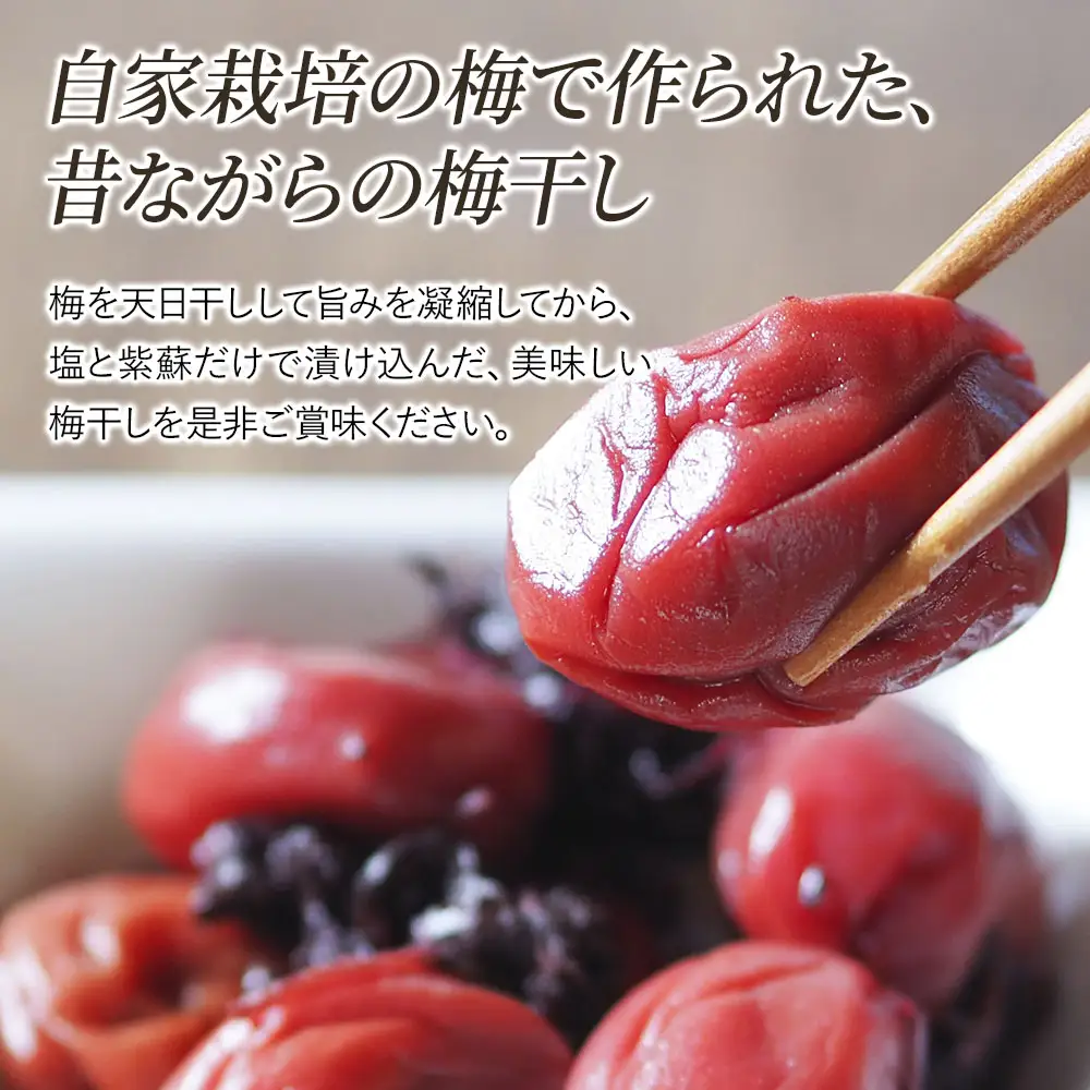 梅干し 250g 4個 | 昔ながらの手作り梅干 しそ漬け 紫蘇梅 うめぼし 梅 ご飯のお供 おかず 大分県産 九州産 中津市