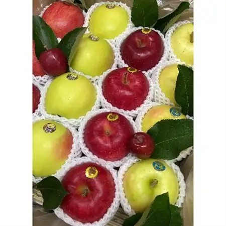 青森りんご　おまかせミックス5kg_果物・フルーツ りんご  リンゴ 林檎_【1242591】