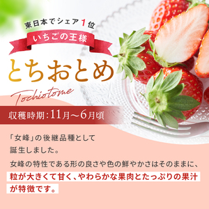【2027年先行予約】小島農園いちご 狩り チケット 2名 とちおとめ とちあいか 食べ放題