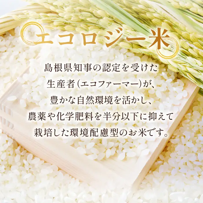 石見銀山天領米（氷感熟成エコロジー米こしひかり）10kg（5kg×2袋）【コシヒカリ 10kg こしひかり お米 精米 島根県産 大田市産 米 氷感熟成 エコロジー米 減農薬 減化学肥料】