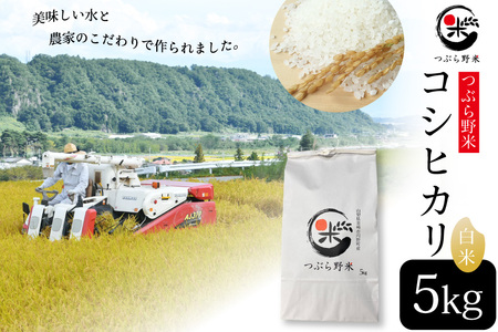 米 令和8年 つぶら野米 コシヒカリ 白米 5kg
