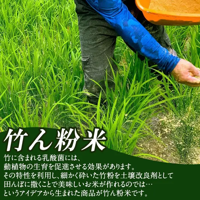 a902-D 竹ん粉米(白米2kg)【夢竺山株式会社】米 お米 白米 精米 選べるお米 セレクト