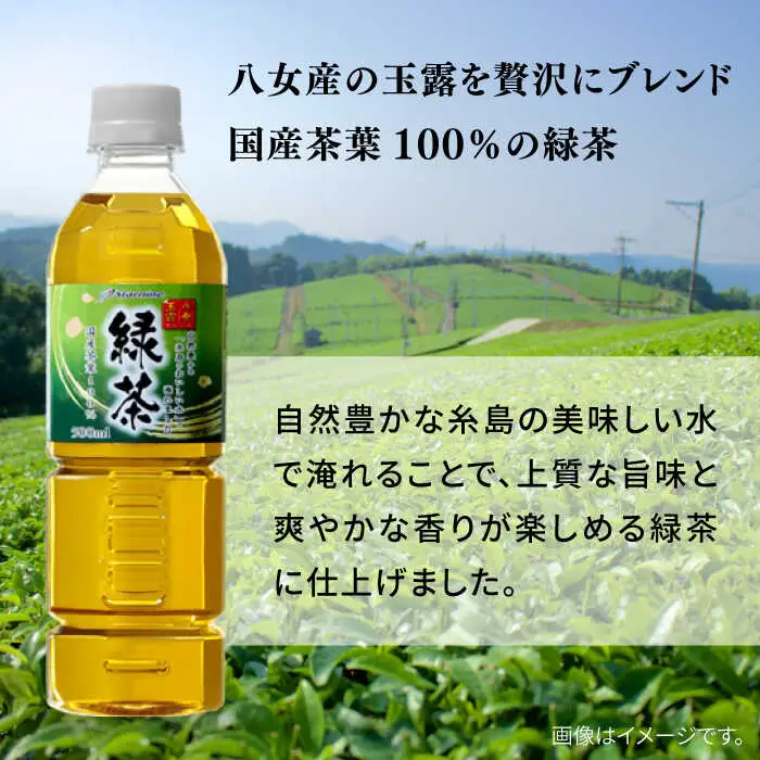【全12回定期便】八女 玉露入り 緑茶 500ml × 24本  糸島市 / スターナイン お茶 ペットボトル [ARM017]