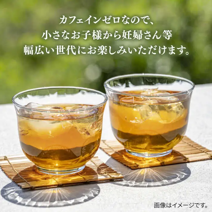 【全12回定期便】麦茶 600ml × 24本  糸島市 / スターナイン お茶 ペットボトル [ARM020]