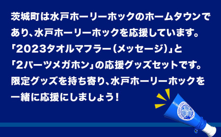 361 水戸ホーリーホック 応援セット