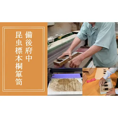 【数量限定】匠の昆虫標本桐箪笥「国産カブト」 No.575