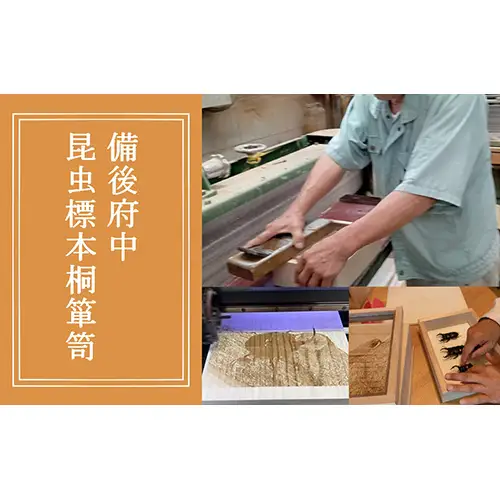 【数量限定】匠の昆虫標本桐箪笥「クワガタ3種」 No.576