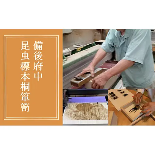 【数量限定】匠の昆虫標本桐箪笥「ヘラクレスオオカブト」 No.577