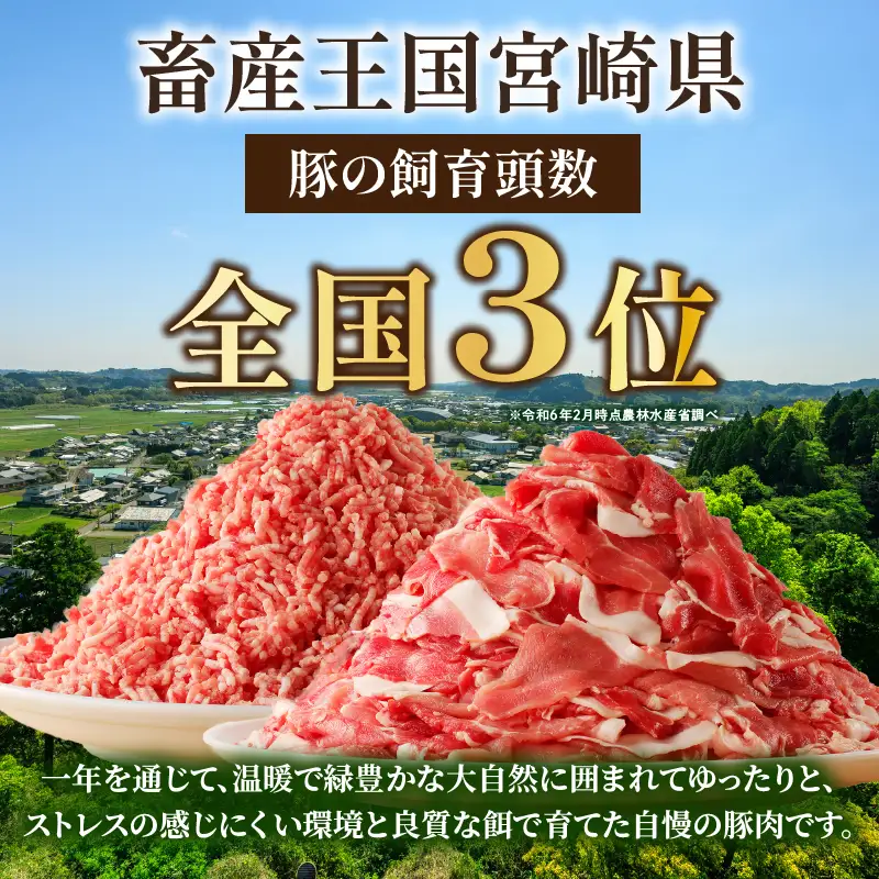 宮崎県 綾町産〈豚肉小間切れ&ミンチ セット 3kg〉 国産 ブランド豚 小分け 冷凍 豚こま 挽き肉 カレー そぼろ 肉団子 生姜焼き ハンバーグ 餃子 炒め物 おかず 弁当 人気 おすすめ_A0023-003