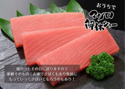 キハダマグロ まるごと１尾 2kg以上 （2～3kg個体差によります）＜カネアリ水産＞