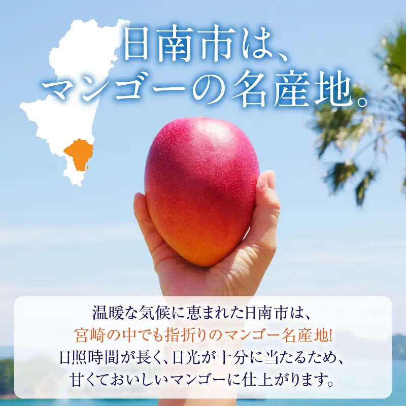 オンライン決済限定 リピーター続出!!宮崎県産 完熟 マンゴー 2L以上×4玉 令和8年発送分 数量限定 フルーツ 果物 果汁 希少 濃厚 ジューシー 贅沢 上質 ご褒美 人気 国産 食品 おやつ デザート 産地直送 おすすめ ギフト プレゼント 贈り物 お土産 手土産 南国 日南市 送料無料_ED10-25