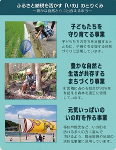 高知県いの町への応援支援寄附（返礼品なし　1口　5,000円）