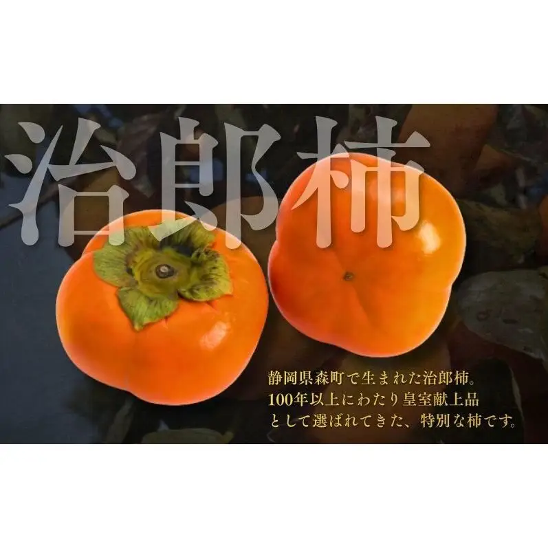 柿 遠州森鈴木農園 治郎柿 10～14玉 フルーツ 柿