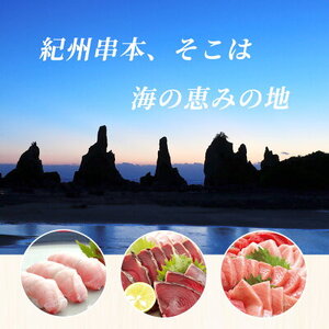 本マグロ （養殖） 赤身 ＆ トロ セット 3kg_AZ6021