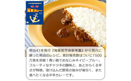 カレーの街よこすか名店 5種食べ比べプレミアムBOX 200g×4 180g×1 カレー 海上自衛隊カレー 海軍 海軍カレー 軍艦 横須賀 自衛隊 神奈川 レトルト 非常食 保存食  【横須賀商工会議所 おもてなしギフト事務局（株式会社調味商事）】 [AKAQ007]