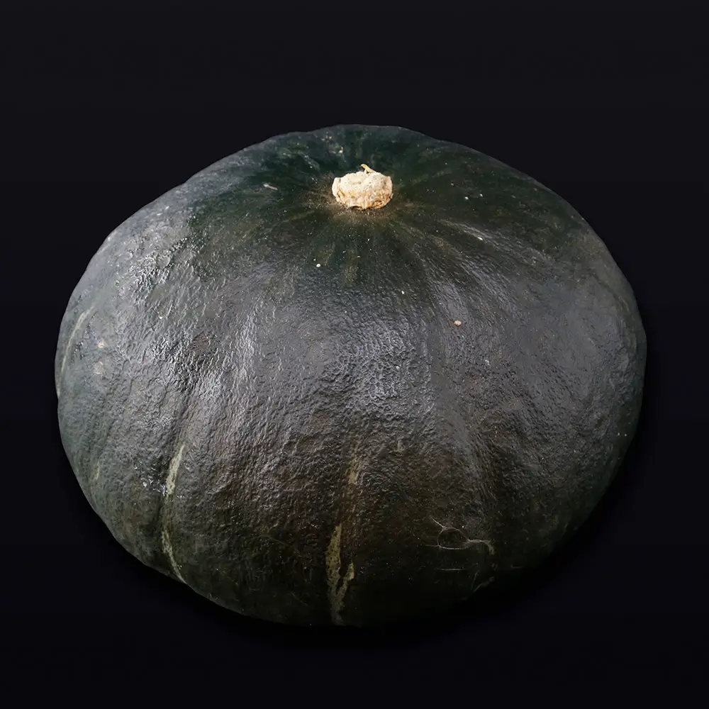 【先行予約】北海道 豊浦町 かぼちゃ 栗大将 約10kg 5-7玉【2026年9月上旬発送開始】 カボチャ 南瓜 野菜 煮物 天ぷら
