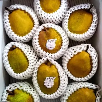 【農園直送！】西洋梨（ラ・フランス）３ｋｇ　ご家庭用　0044-2604