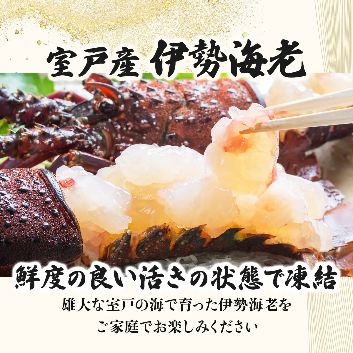 室戸産活冷伊勢海老【約５００g】