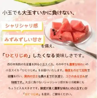紀州和歌山産 小玉スイカ「ひとりじめ」 2玉 ※2027年5月下旬頃〜6月下旬頃に順次発送 【uot402-r-2】