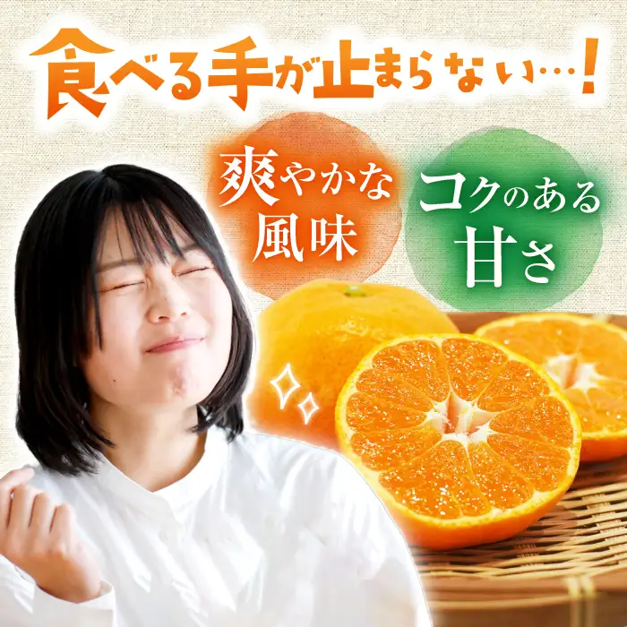 温州みかん 約10kg [ACAI003]