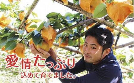 《先行予約》いわき市産　梨　幸水　約 3kg（約6～8個）