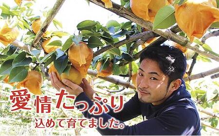 《先行予約》いわき市産梨　豊水 約3kg（約6～8個）