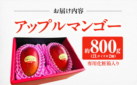 【2027年7月下旬から順次発送】 大村マンゴー 約800g (2L×2個) / 先行予約 マンゴー アップルマンゴー まんごー フルーツ トロピカルフルーツ 甘い 期間限定 国産 冷蔵配送  / 大村市 / 県央リサイクル開発[ACBC001]