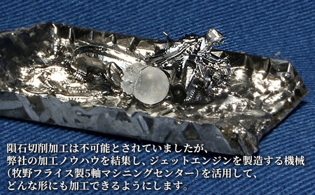 アルタイ鉄隕石　名称：龍 コレクション 置物 インテリア 雑貨 趣味 隕石コレクター 宇宙マニア 宇宙好き 隕石切削加工品 隕石加工品 新潟県田上町