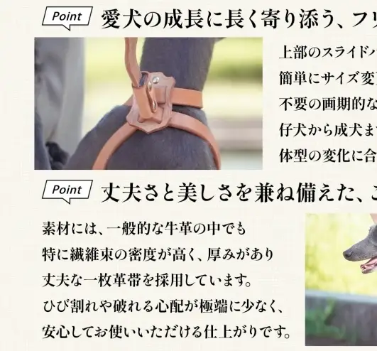 犬用 ハーネス 胴輪 小型犬 中型犬 ナチュラル ヌメ革 レザー 本革 牛革 手作り ハンドメイド ペット用品 お散歩 お出かけ オーダーメイド 犬具 神奈川県 ギフト 贈り物 プレゼント ご褒美 レッド