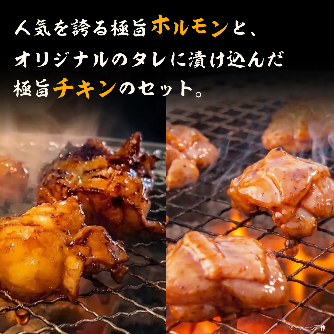 極旨ホルモン・極旨チキン2種セット 計約1.3kg [ACAX001]