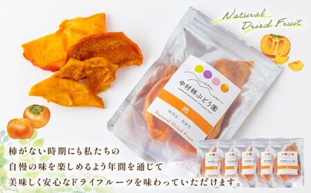 中村柿ぶどう園 ナチュラルドライフルーツ (柿) 約40g×5個