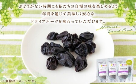 中村柿ぶどう園 ナチュラルドライフルーツ (シャインマスカット) 約40g×3個 
