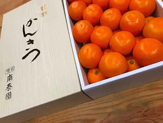 年内発送 完熟早生 有田みかん 化粧箱 特秀 M サイズ 40玉入 和歌山 南泰園 みかん