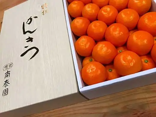年内発送 完熟早生 有田みかん 化粧箱 特秀 S サイズ 45玉入 和歌山 南泰園 みかん