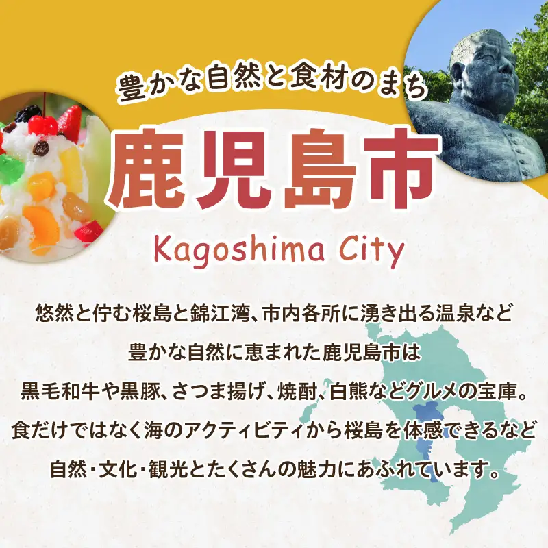 鹿児島県 鹿児島市 の 対象 ツアー に使える HIS ふるさと納税 クーポン 寄附額100,000円 HIS-010