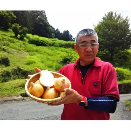 田口農園徳島の世界農業遺産ブランド野菜　 農家人が選ぶ旬野菜のおまかせセット【配送不可地域：離島】【1381836】