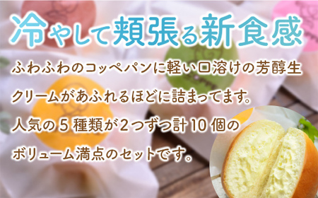 BD0101 冷やしパンコッペ10個詰め合わせ プレーン いちご チョコ 抹茶 黒ゴマ クリームパン