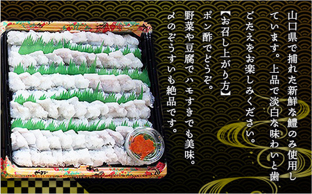 AO0102 鱧（ハモ）しゃぶセット（5人前） 冷蔵 山口県産
