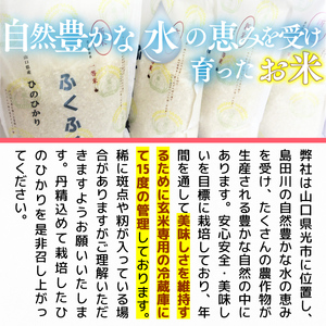 山口県産 ひのひかり 5kg 米 精米 AF0201